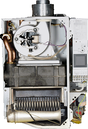 bx pt suprima 100l inner 2.gif